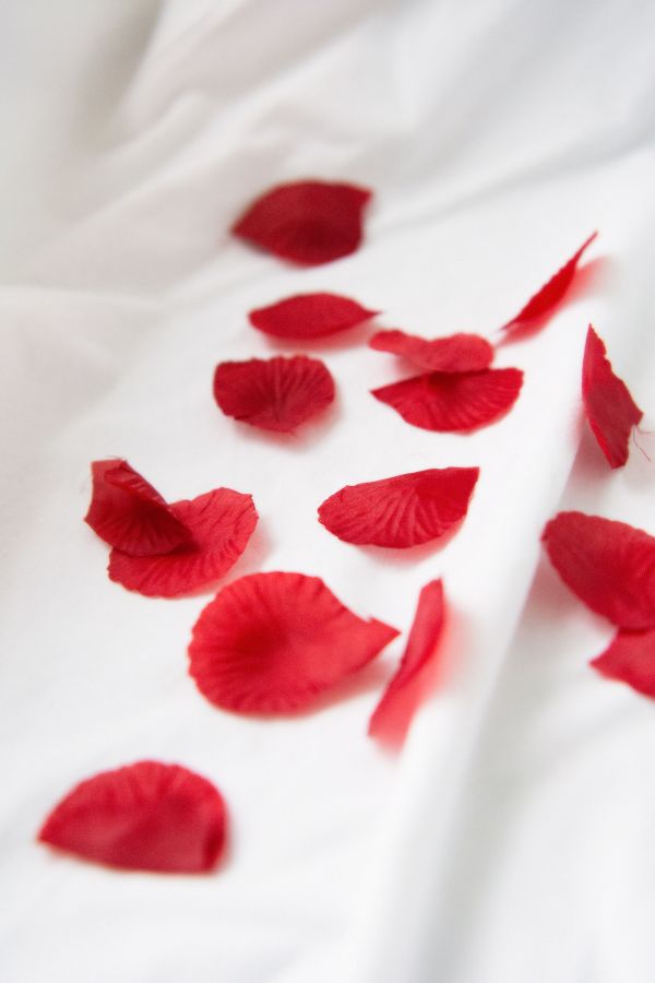 0118-White-Sheet-rose-boudoir-fotoshoot